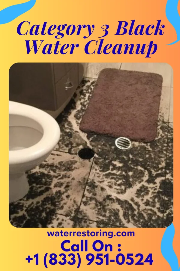 Category 3 Black Water Cleanup in Nashua, MT