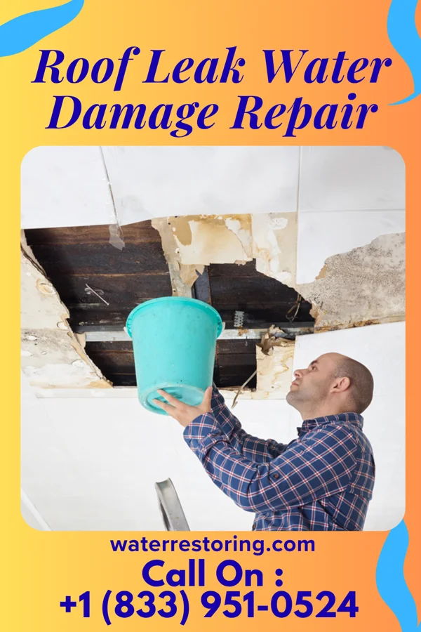 Roof Leak Water Damage Repair in Nashua, MT